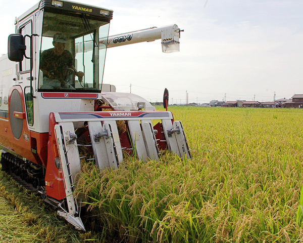 美味しさの秘密は「NS製法」